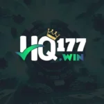 HQ177 Game Image Feature